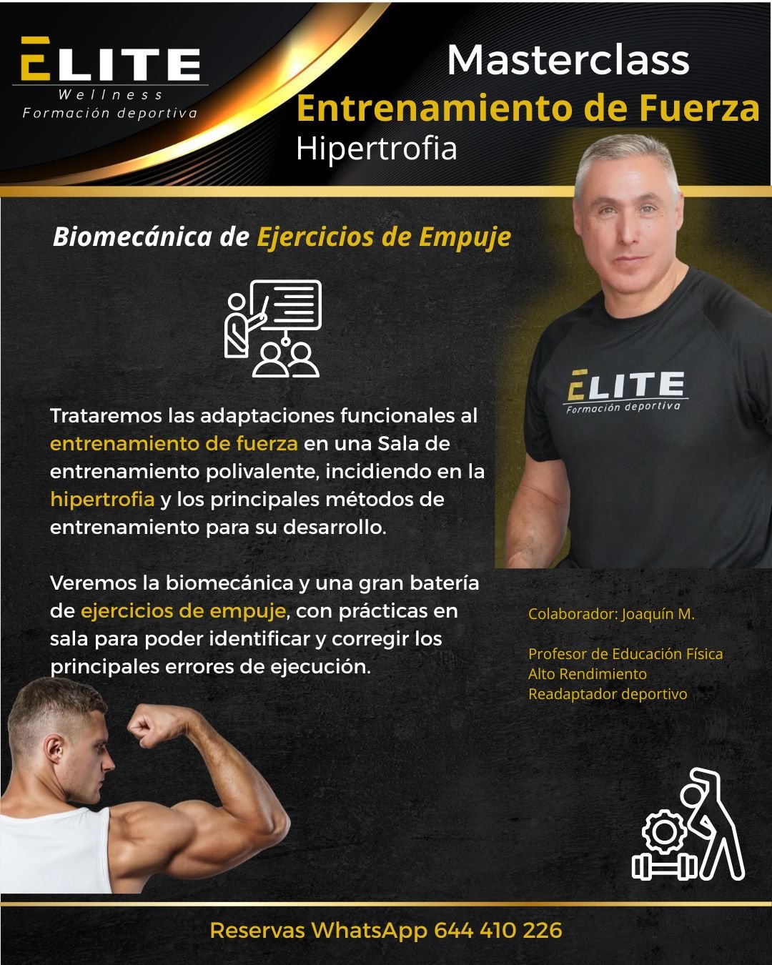 Fitness d1 masterclass elite wellness