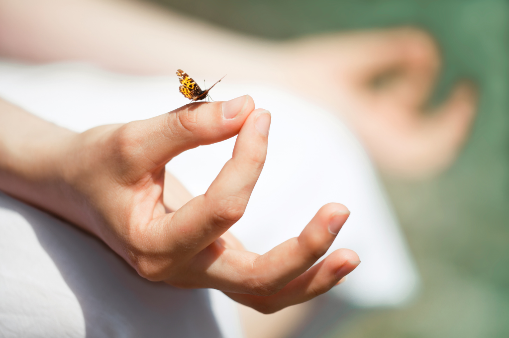 curso tecnico yoga elite wellness malaga03