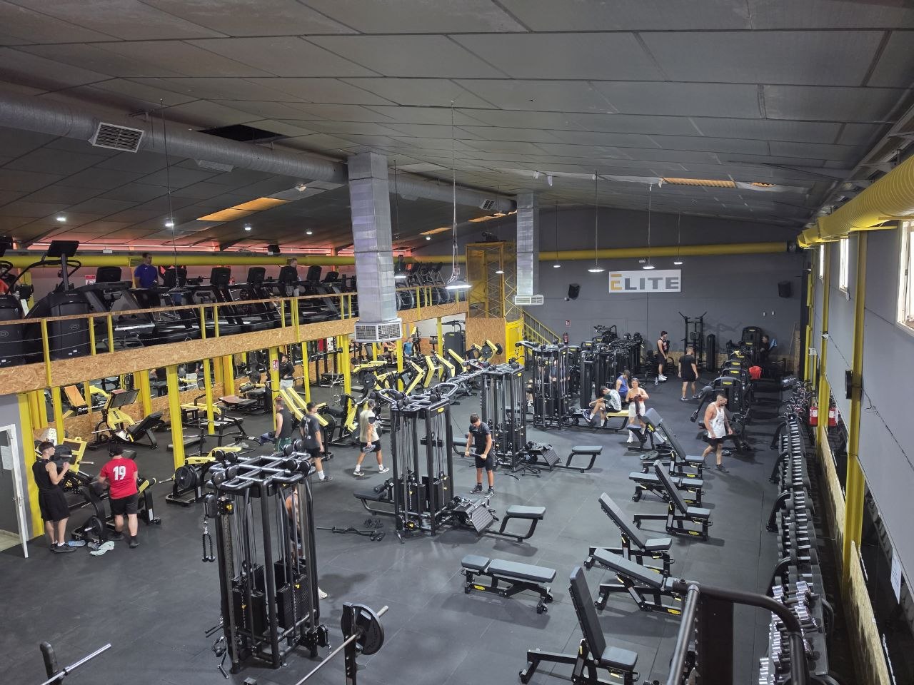 moderno gimnasio actualizado sala polivalente musculacion maquinaria premium formación elite wellness malaga2 ELITE Wellness Formación Deportiva